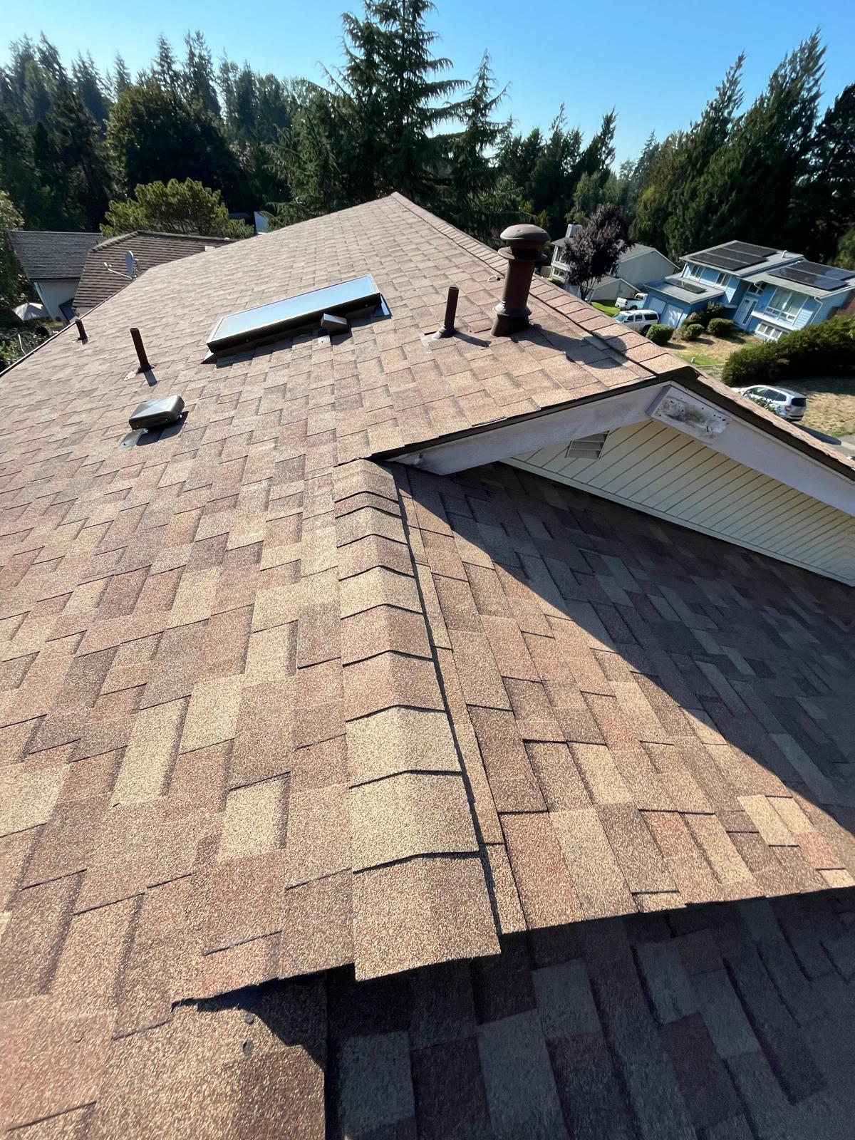 Rain Proof Roofing Specialist LLC